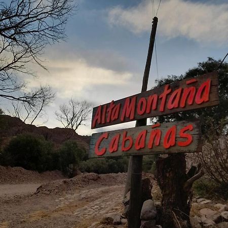 蒂尔卡拉 Alta Montana Cabanas酒店 外观 照片